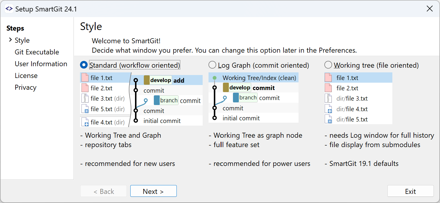 Setup wizard, window selection